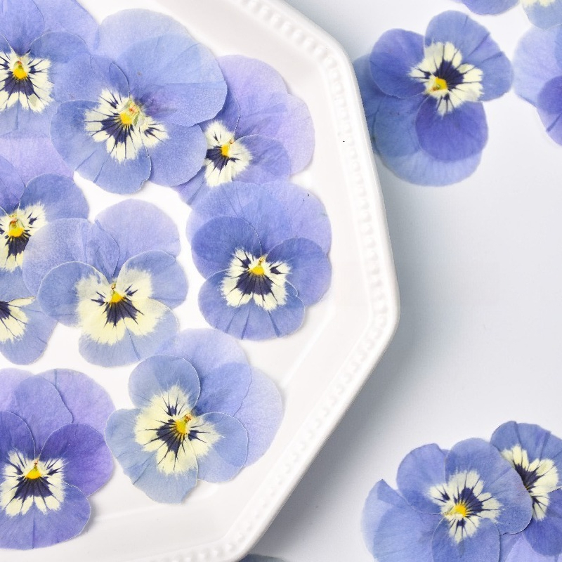 Art Craft 2 Year Olds - 24 adet, gerçek açık mavi menekşe