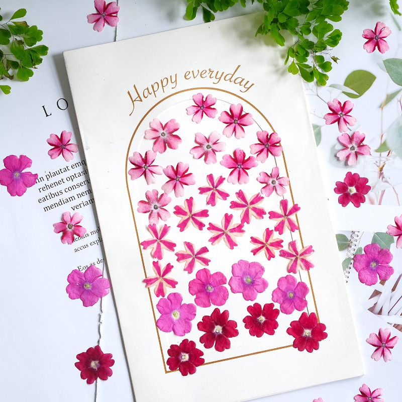 50 adet/1.5-2 cm, Preslenmiş K - Art Craft 2 Year Olds incelemesi ve fiyatı