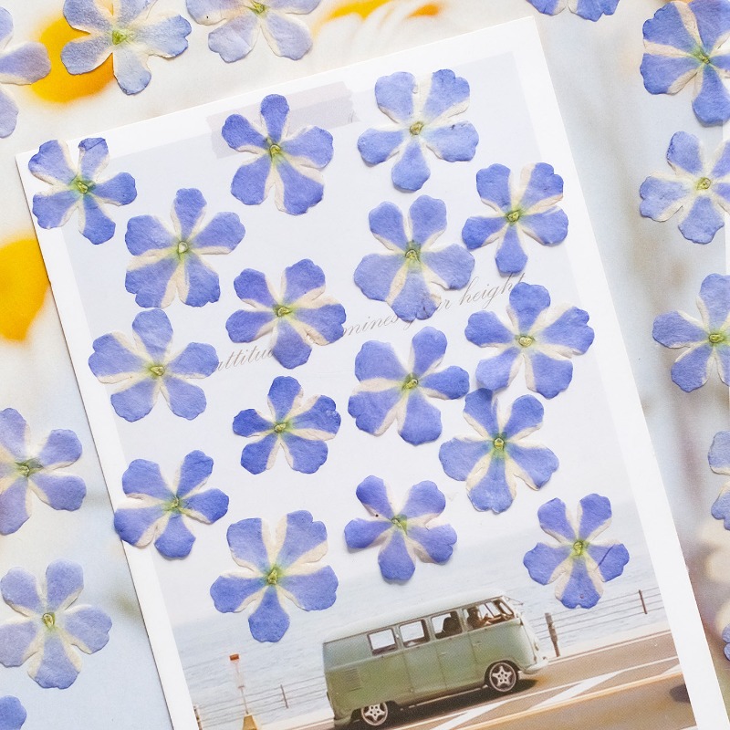 50 adet/1.5-2 cm, Preslenmiş K - Art Craft 2 Year Olds incelemesi ve fiyatı