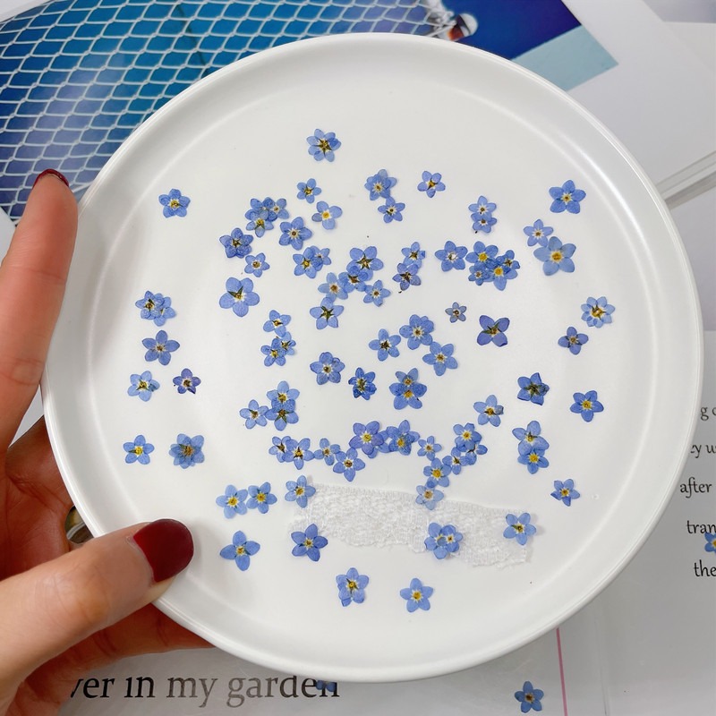100 adet/0.5-1 cm, Preslenmiş  - Art Craft 2 Year Olds incelemesi ve fiyatı