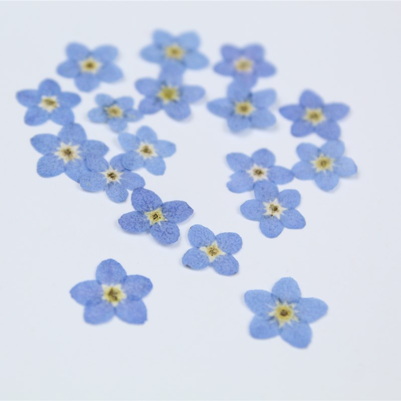 100 adet/0.5-1 cm, Preslenmiş  - Art Craft 2 Year Olds incelemesi ve fiyatı