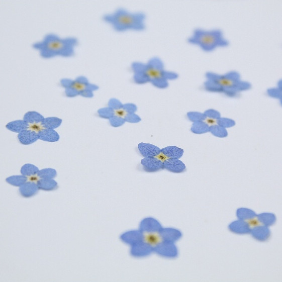 100 adet/0.5-1 cm, Preslenmiş  - Art Craft 2 Year Olds incelemesi ve fiyatı