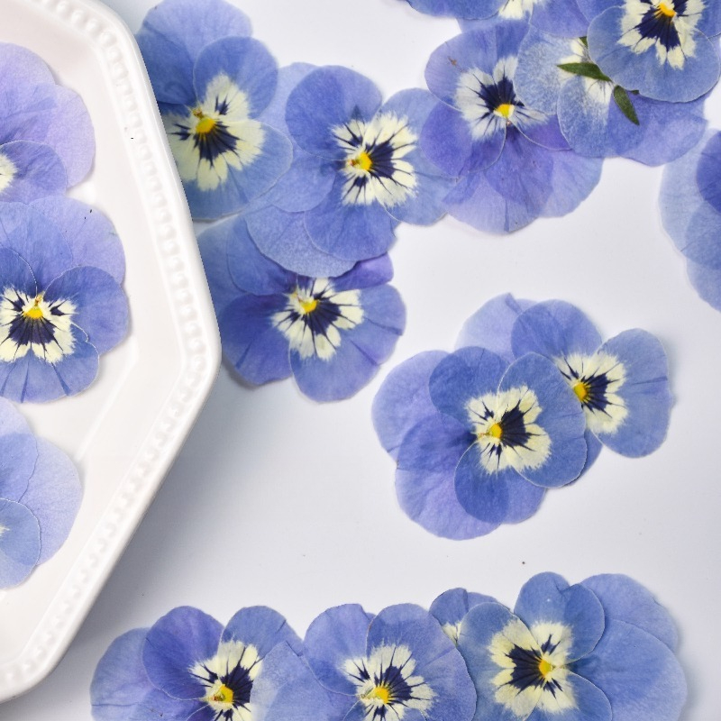 24 adet, gerçek açık mavi mene - Art Craft 2 Year Olds incelemesi ve fiyatı
